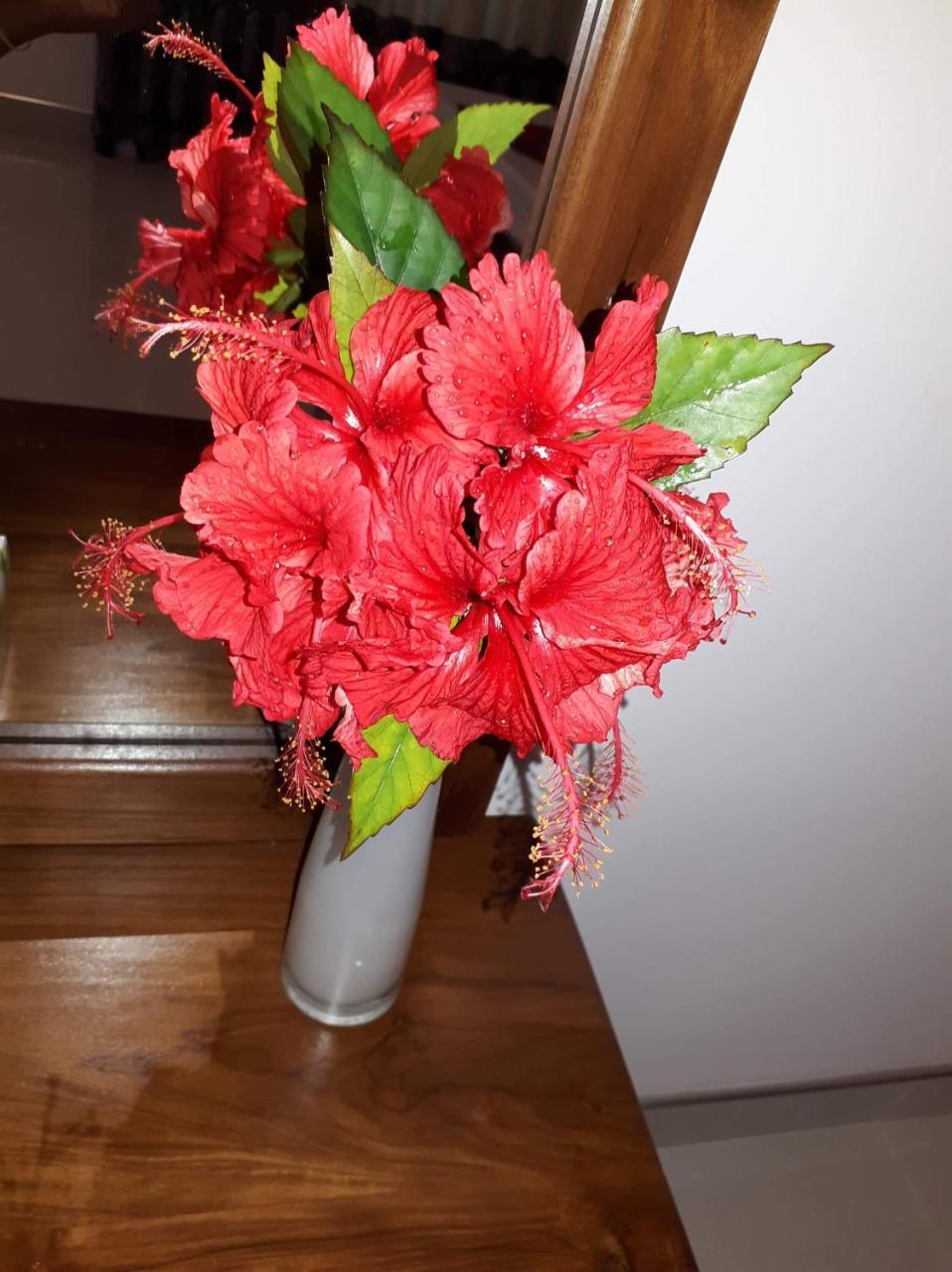 Sigiri Hibiscus Villa Сигирия Экстерьер фото